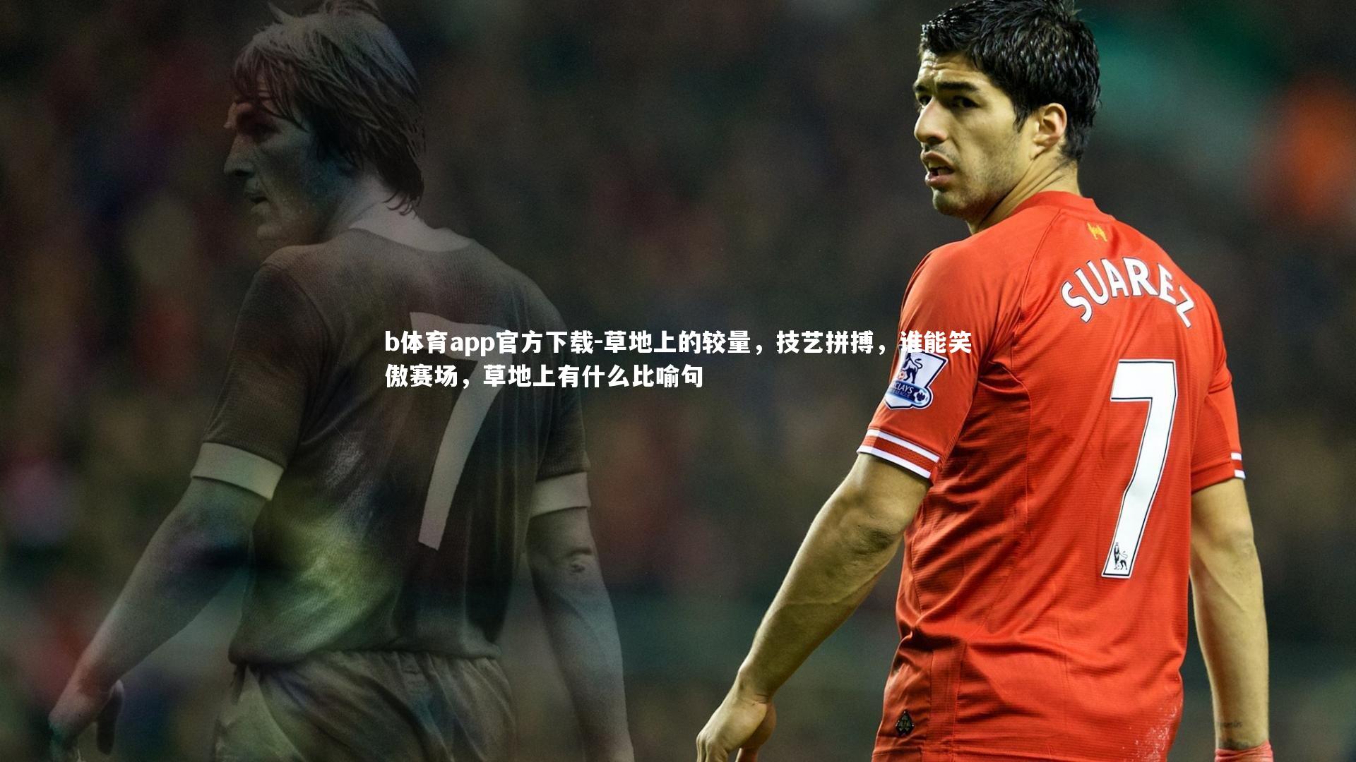 草地上的较量，技艺拼搏，谁能笑傲赛场，草地上有什么比喻句